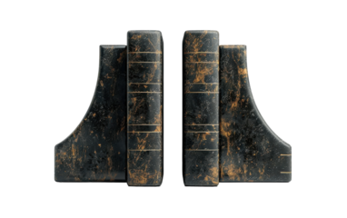 Black and Gold Bookend Pair