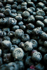 Fresh blueberries close up Blueberry background. Image of blueberries from above,