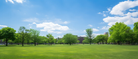 Serene Urban Park on a Sunny Day