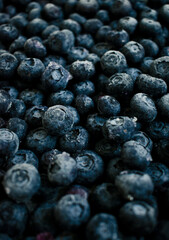 Fresh blueberries close up Blueberry background. Image of blueberries from above,