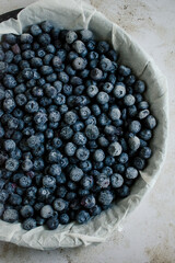 Food photography - Summer fruits blueberry background - Closeup of ripe blueberries and leaves in a baking tray