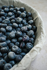 Food photography - Summer fruits blueberry background - Closeup of ripe blueberries and leaves in a baking tray