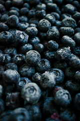 Fresh blueberries close up Blueberry background. Image of blueberries from above,