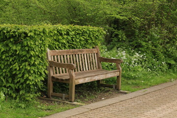 bench in the park