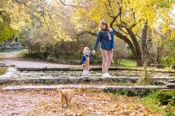 Fototapeta premium mother and daughter walk hand-in-hand through park autumn leaves. girl wearing brown dress. mother wearing blue shirt and tan pants. time with mother. happy childhood. maternity leave to care child 