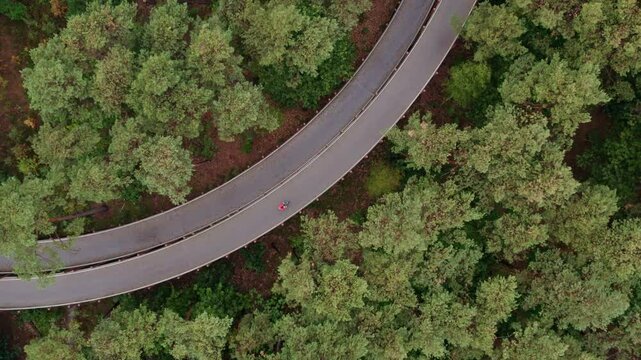 Aerial view of winding road through forest with bicycle and woman, Hechtel-Eksel, Belgium.