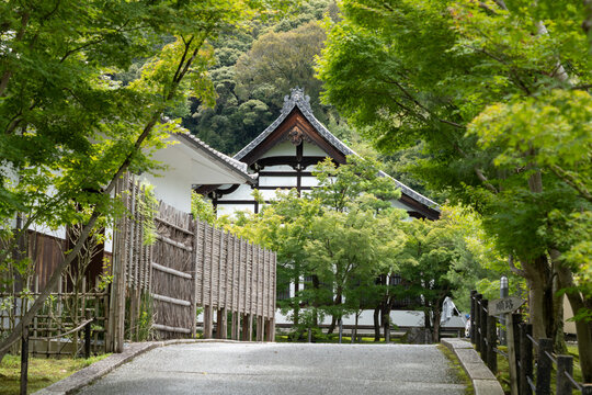 japanese garden