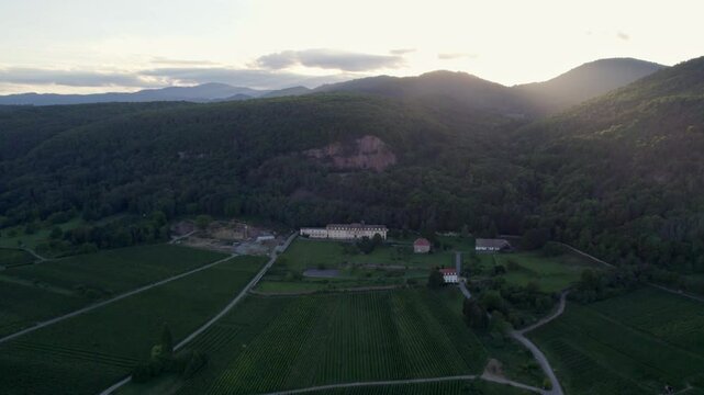 Aerial view of vineyard and abbey at sunrise in Abbaye de Marbach, Haut-Rhin, France.