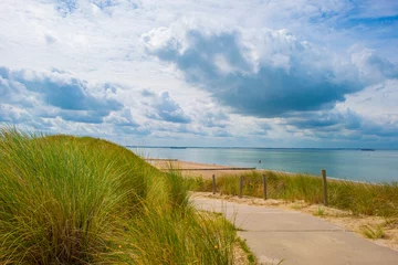 Grassy sandy dunes along sand beach and sea in a blue cloudy sky in  bright sunlight in summer, Walcheren, Zeeland, the Netherlands, July, 2024