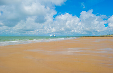 Fototapeta premium Sand beach along a sea under a blue cloudy sky in bright sunlight in summer, Walcheren, Zeeland, the Netherlands, July, 2024