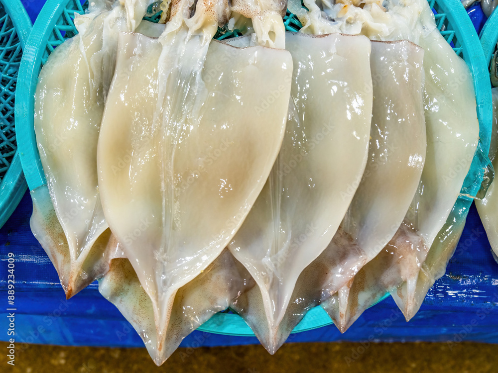 Sticker Close up of stacked trimmed raw squid with flesh for sale at a fish market of Jumunjin Port near Gangneung-si, South Korea
