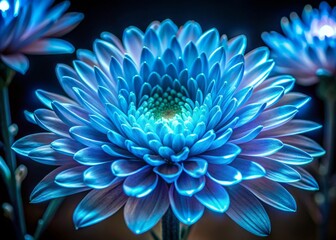 a blue luminous flower closeup shot