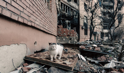 destroyed building in a city lost in the war in Ukraine