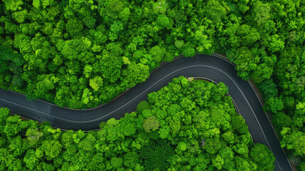 Aerial view of a winding road through a lush, green forest, capturing the serene beauty of nature and the tranquility of the environment.