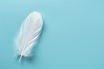 white feather on blue background