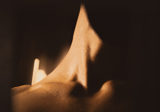 Cuello desnudo 