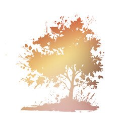Autumn Tree Silouhette and Shape With Transparent Background