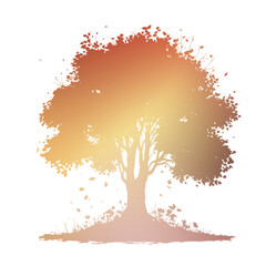 Autumn Tree Silouhette and Shape With Transparent Background