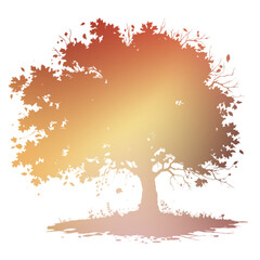 Autumn Tree Silouhette and Shape With Transparent Background