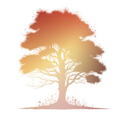 Autumn Tree Silouhette and Shape With Transparent Background
