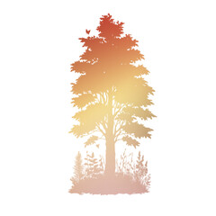 Autumn Tree Silouhette and Shape With Transparent Background