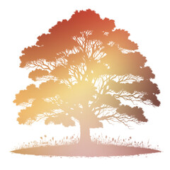 Autumn Tree Silouhette and Shape With Transparent Background
