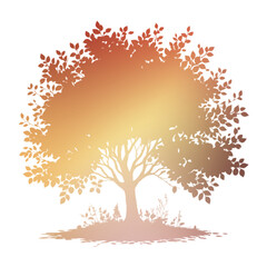 Autumn Tree Silouhette and Shape With Transparent Background