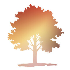 Autumn Tree Silouhette and Shape With Transparent Background