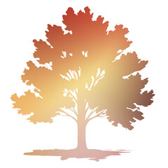 Autumn Tree Silouhette and Shape With Transparent Background