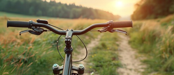A bicycle is parked in a grassy field with the sun shining on it