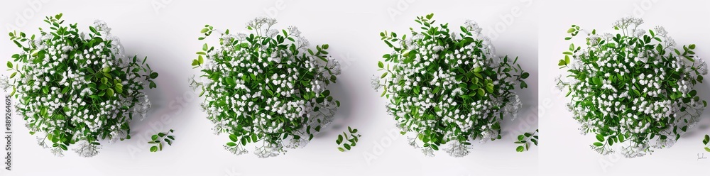Poster alyssum flower pile of heaps of piled up together on transparent background with hyperrealistic deta