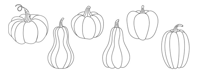 Set of pumpkins in doodle style. Vector illustration on a white background.