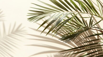 Fototapeta premium Stylish tropical palm leaf shadow background for travel or green cosmetics design. In the summer, beach sand or tropical palm leaves are a popular design motif.