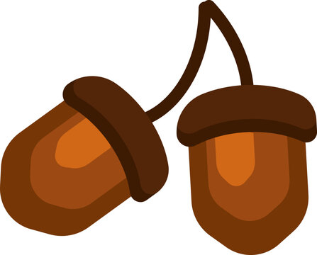 Arcon shellnuts flat vector illustration
