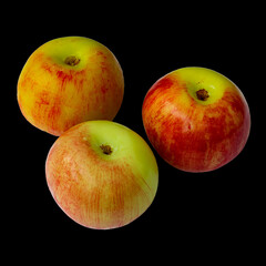 Three fruits of apples isolated on dark black background. Passion of natural flowers, imitation of delicious exotic fruits