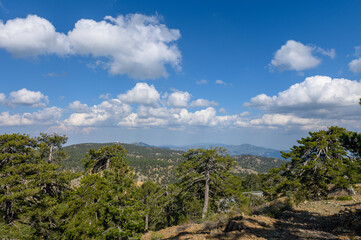 Troodos mountains, Larnaca region, Northern Cyprus nature