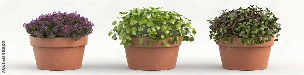 Poster a transparent background with soft smooth microgreens that are hyperrealistic and highly detailed