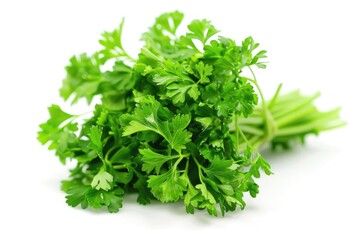 Parsley Seed. Closeup of Agricultural Group of Dry Seeds on White Background