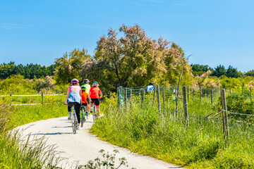 Group of tourists riding bicycles on a bike path in the countryside of the Oleron island, France