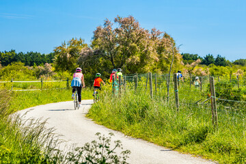 Group of tourists riding bicycles on a bike path in the countryside of the Oleron island, France