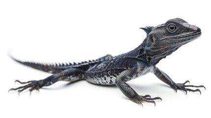 Naklejka premium Livyatan full body on white background