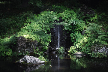 森の奥の小さな滝