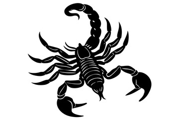 Scorpion, scorpion icon vector, scorpion tattoo. vector illustration

