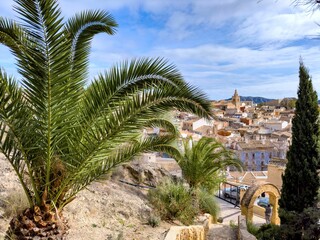 Fototapeta premium Relleu town with palm trees in the foreground and a church in the background under a cloudy sky