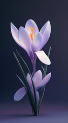 Fototapeta premium A single crocus flower in bloom, viewed from an isometric angle