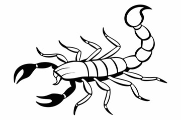 Scorpion, scorpion icon vector, scorpion tattoo. vector illustration

