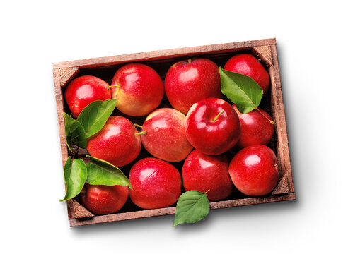 Wooden box with fresh red apples