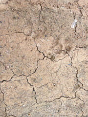 Cracked earth texture for nature background