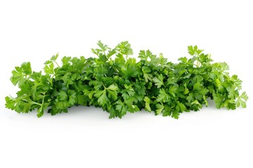 Obraz premium Fresh parsley on a clean white surface, suitable for food photography or illustration