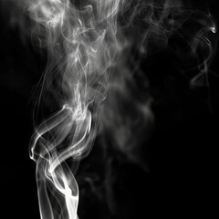 Abstract smoke moves on a black background, monochrome abstract background